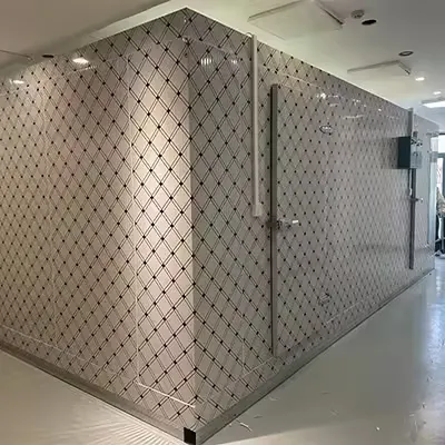 Customizable Small Cold Storage Room & Freezer Room
