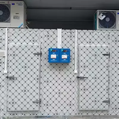 Customizable Small Cold Storage Room & Freezer Room