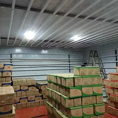 Customizable Small Cold Storage Room & Freezer Room
