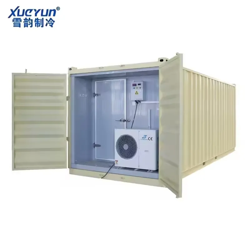 Customized Cold Storage & Freezer Containers