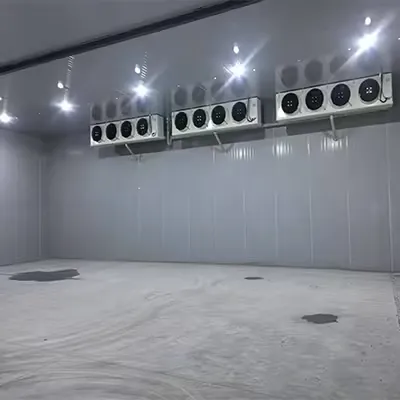 Customized Medium Cold Storage Room & Freezer Room