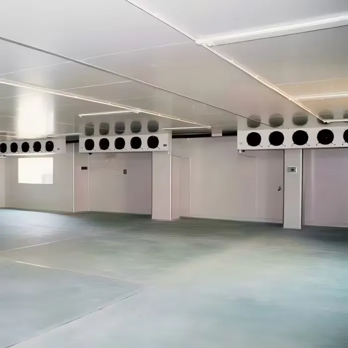 Customized Medium Cold Storage Room & Freezer Room