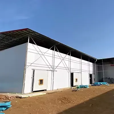 Customized Medium Cold Storage Room & Freezer Room