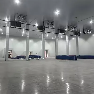 Customized Medium Cold Storage Room & Freezer Room