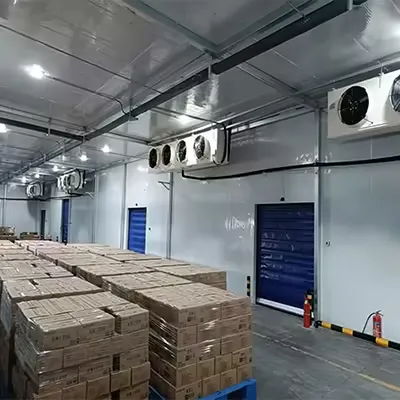 Customized Medium Cold Storage Room & Freezer Room