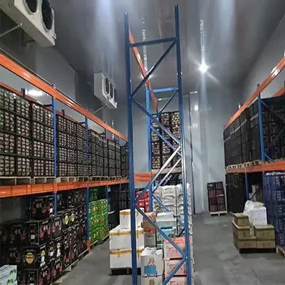 Customized Medium Cold Storage Room & Freezer Room