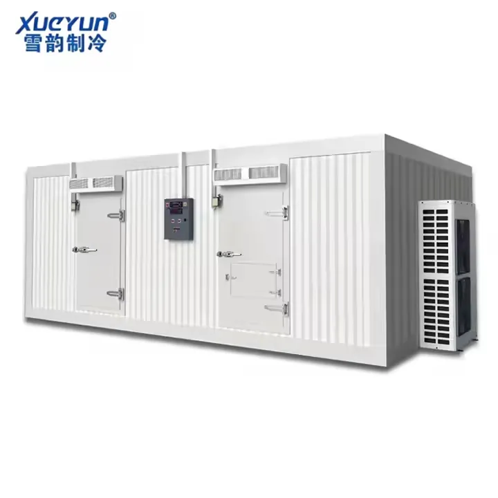 Customized Large Cold Storage Room & Freezer Room