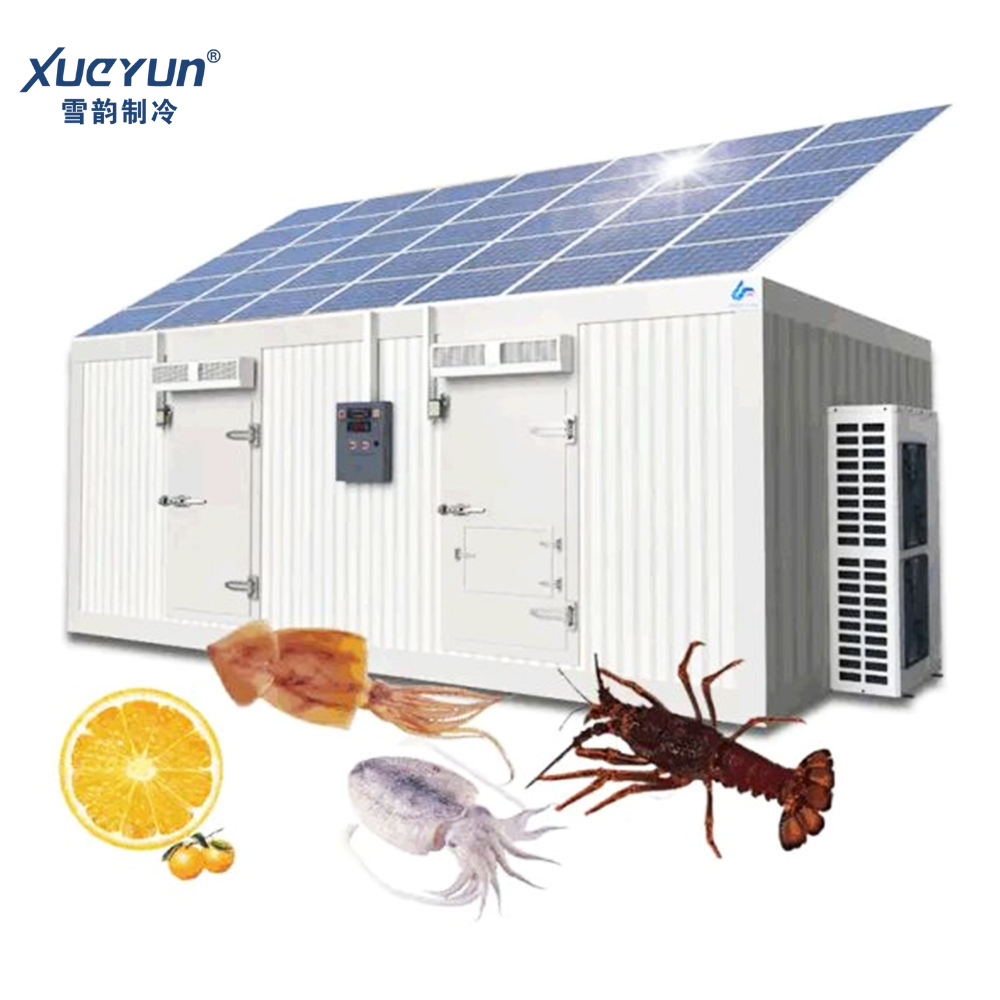 Solar powered cold storage unit for food preservation